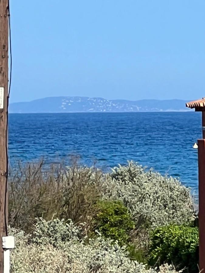 Plein Sud, Bel Appartement 20 Metres De La Plage La Capte Hyères Exteriér fotografie
